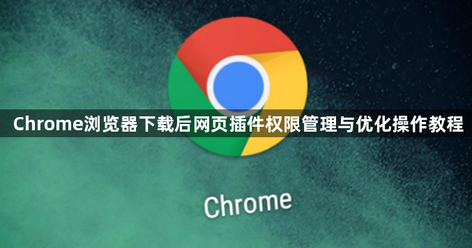 Chrome浏览器下载后网页插件权限管理与优化操作教程1