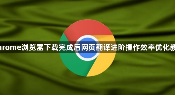 Chrome浏览器下载完成后网页翻译进阶操作效率优化教程1
