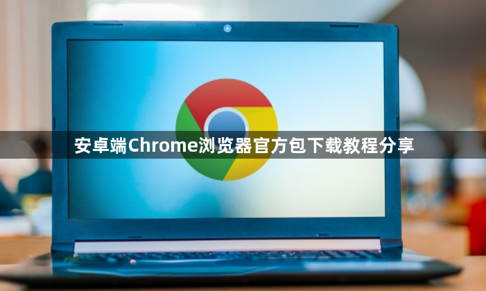 安卓端Chrome浏览器官方包下载教程分享1