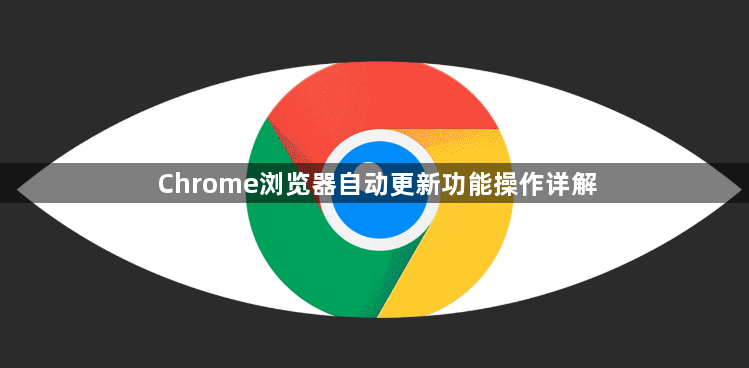 Chrome浏览器自动更新功能操作详解1