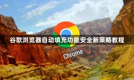 谷歌浏览器自动填充功能安全新策略教程1