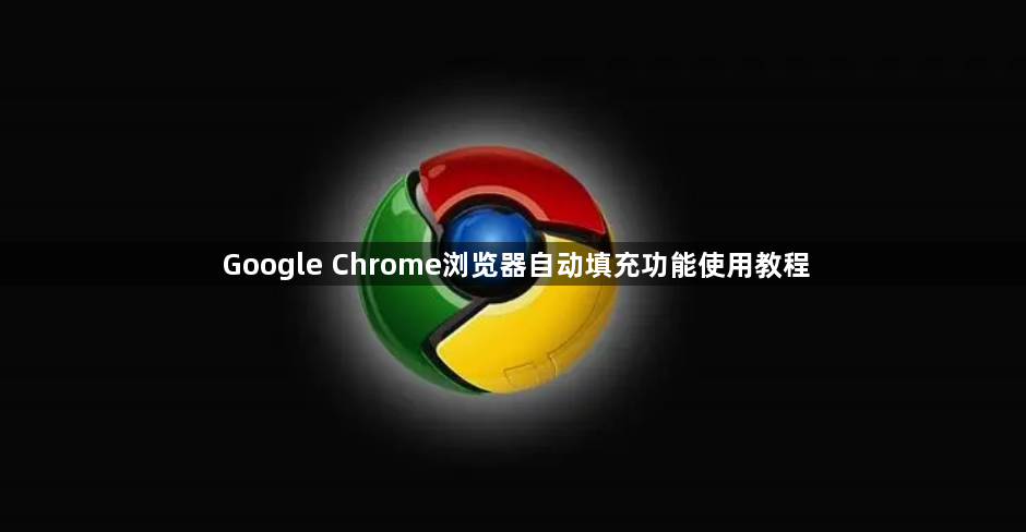 Google Chrome浏览器自动填充功能使用教程1