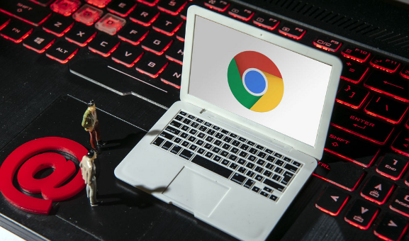 google Chrome浏览器自动填表插件操作方法教程