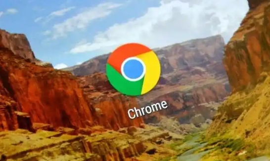Google Chrome缓存清理与性能优化操作方法解析分享